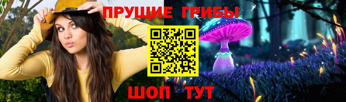 Галлюциногенные грибы MAGIC MUSHROOMS  Вход с VPN  Нижневартовск  Псилоцибиновые грибы мухоморы 